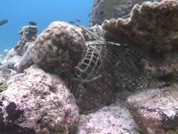 Old fishing net, Southern Visayas, Philippines Stock Footage