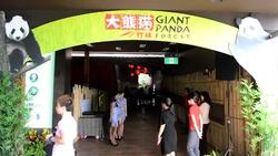 CLEAN : Giant pandas at Singapore News Clip