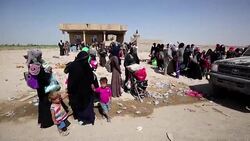 CLEAN : Iraqis flee violence due to offensive on Fallujah News Clip