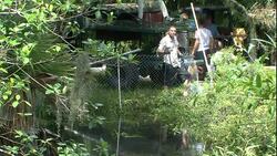 An animal catcher holds the end of a line as it dangles in a swamp. Stock Footage