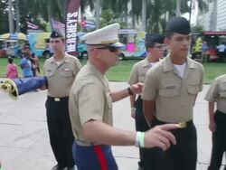 Miami - Dade County Golden Veterans Parade Celebrates 50 Years Stock Footage