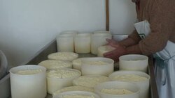 Italy, dairy farm in the mountain hut Stock Footage