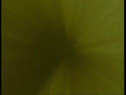 Light ray pattern from centre of shot, underwater in flooded forest, Amazon, South America Stock Footage