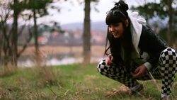 Lovely young woman throwing balls to a pet Stock Footage