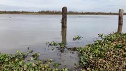 New US school prepares youth for climate change News Clip