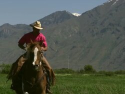 Slow handheld shot of a cowboy on a cantering horse Stock Footage