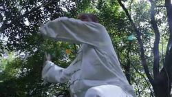 old man practice tai chi in the park Stock Footage