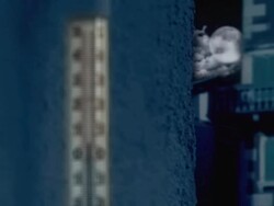 thermometer PAL Stock Footage