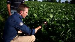 Into the Dead Zone: Exploring the Impact of Farming Practices on Dead Zones Instructional Video