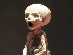 CLEAN: The Mummies of Guanajuato News Clip