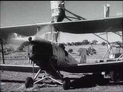 SHEEP FARM - News Clip