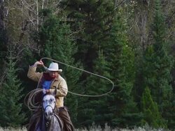 Cowboy galloping on horseback Swinging lariat Stock Footage
