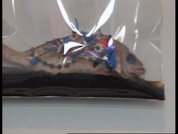 France - Lyon Biennale Instructional Video