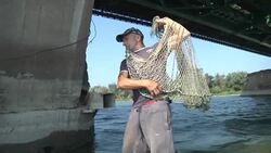 "Superman of the Danube" saves 25 people from killing themselves News Clip