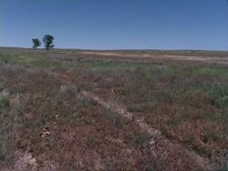 180 degree pan across barren landscape, slight breeze through grasses, Namaqualand, South Africa Stock Footage