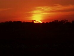 Shot of sunset on the cotton farm. Stock Footage