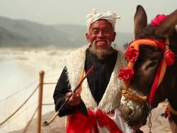 Old man with his donkey Stock Footage