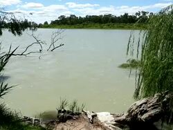 The River Murray In South Australia Stock Footage