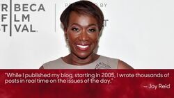 MSNBC Backing Joy Reid After More Controversial Blog Posts Resurfaced | THR News News Clip