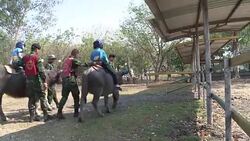 CLEAN : Buffalo soldiers help Thai kids combat autism News Clip