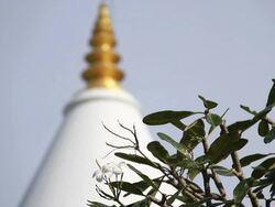 Buddhist temple Stock Footage