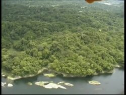 Rainforest and riverbank, aerial view, POV helicopter, Panama, Central America Stock Footage