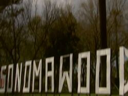 ATMOSPHERE at the world premiere of Sir Billi - Animated Feature Film Starring Sir Sean Connery With Dame Shirley Bassey Singing Title Track on 4/13/12 in Sonoma, CA (Footage by WireImage Video/Getty Images Entertainment Video) Stock Footage