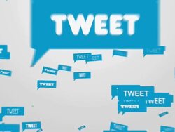 tweet! Stock Footage