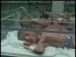 Even in an over-populated territory with one of the world's highest birth rates, the delivery of quintuplets in the Gaza Strip on Wednesday got people excited. News Clip