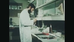 News Item (58179468-96d3-7ffa-e2b2-962cc93827ea) Instructional Video