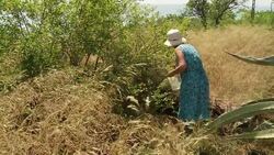 CLEAN : Locals attack Turkish island development News Clip