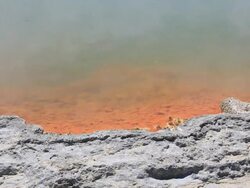 Thermal water in Rotorua, New Zealand Stock Footage