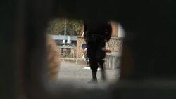 Human rights groups say hundreds of women and children abused at psychiatric hospital News Clip