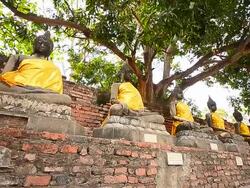Old Buddha Statues at Historical Park of Ayutthaya, Thailand Stock Footage