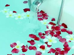 Bathtub and rose petals Stock Footage