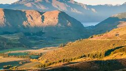 Time lapse, autumn tree in the park and blue sky, arrow town, new zealand, Stock Footage
