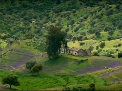 Old farmhouse - very iconic, Andalucia, Spain Stock Footage