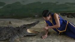 Crocodile Wrestling in Thailand Stock Footage