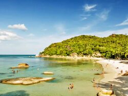 The beach Stock Footage