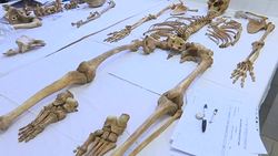 VOICED : 40 years on Cyprus in race to find war missing News Clip