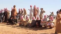 CLEAN : Rebel parts of Syria revive beloved Arabian horse races News Clip