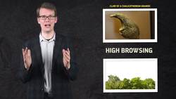 How the Chalicothere Split In Two Instructional Video