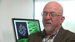 Paintings by some of the world's most famous artists could reveal subtle signs of brain disease... News Clip