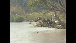 Safari lodges and Sabi river on Sabi Sand reserve News Clip