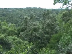 Hanging Bridge Stock Footage