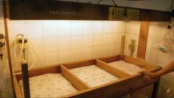 Jane Chen: A warm embrace that saves lives Instructional Video