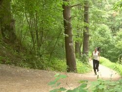 Jogging in the Forest Stock Footage