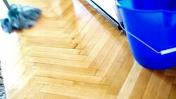Cleaning the floor with a mop. Stock Footage
