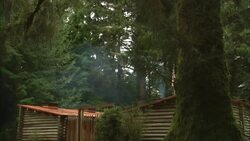Smoke rises from the chimney of a fort in the forest. Stock Footage