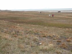 People walking on Ð° tundra-like field near Longyearbyen, Svalbard archipelago with beautiful mountains visible in the back Stock Footage